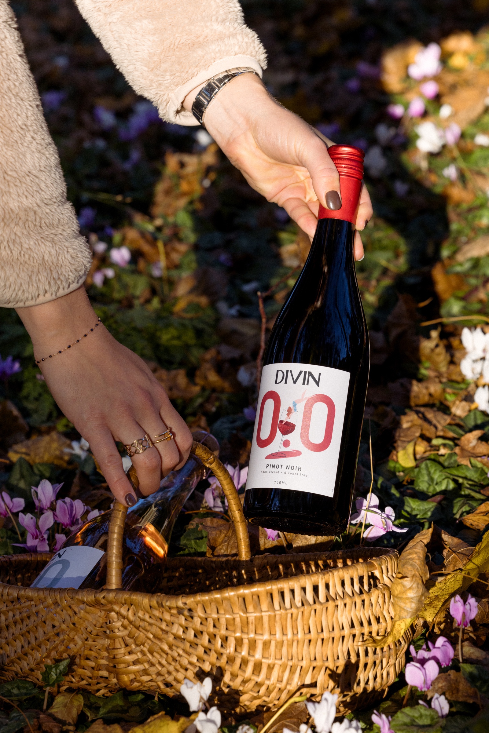 DIVIN Pinot Noir 0.0 beim Picknick im Freien