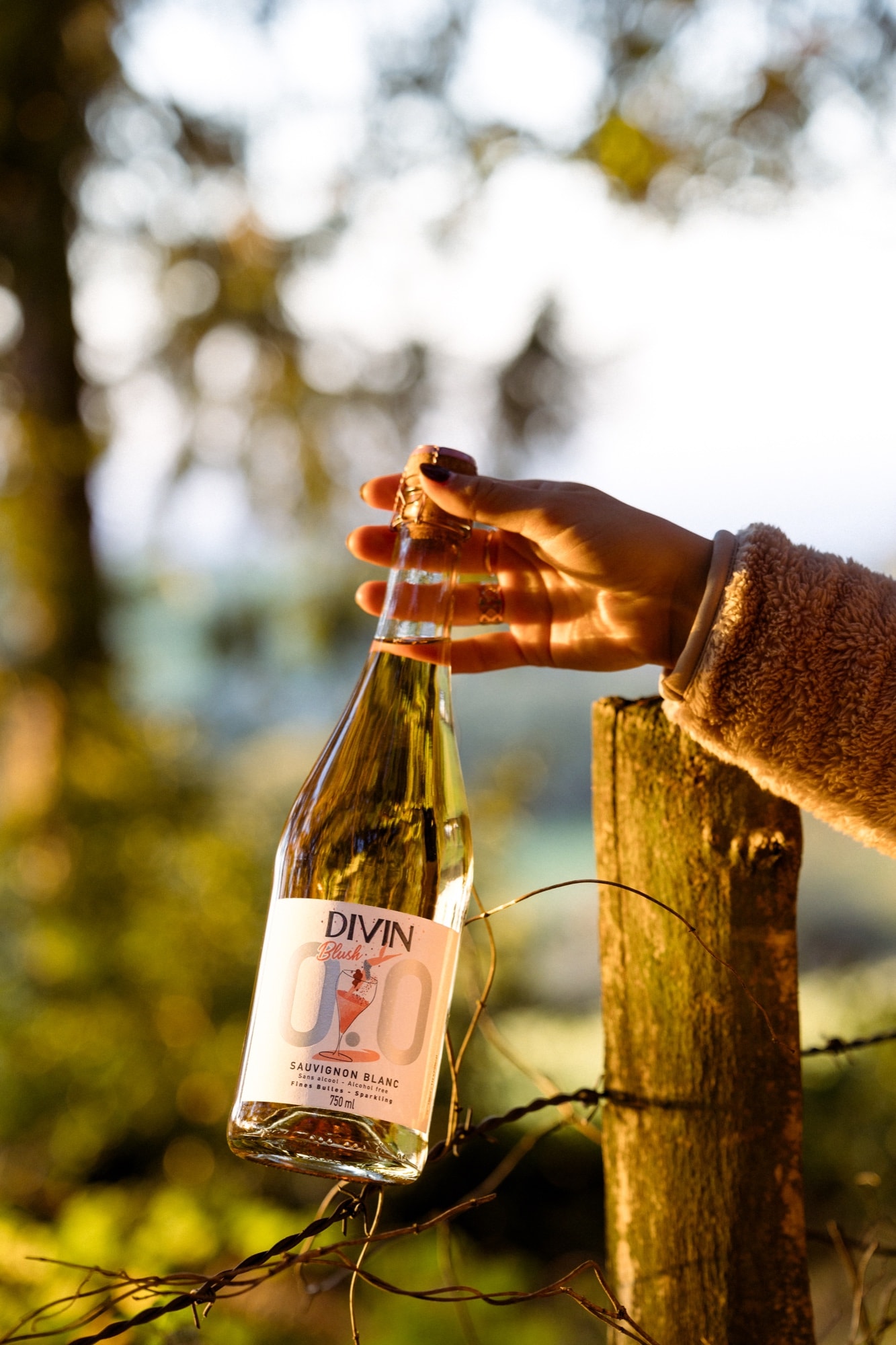 DIVIN Blush Sauvignon Blanc am Zaun
