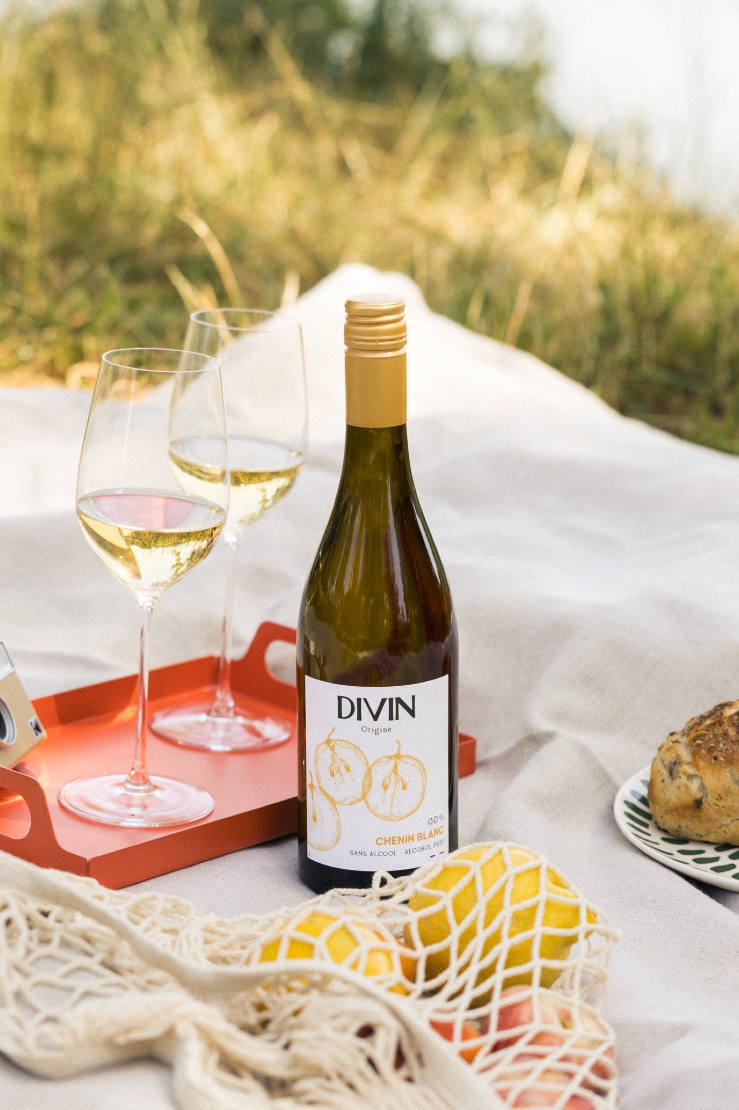 DIVIN Chenin Blanc beim Picknick mit Gläsern und Obst