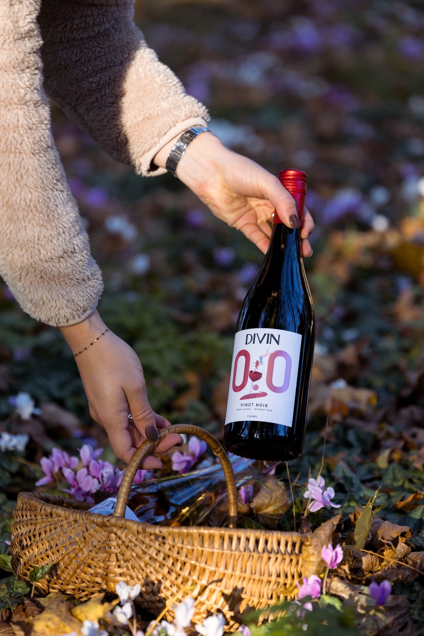 DIVIN Pinot Noir in der Hand, Korb und Herbstlaub