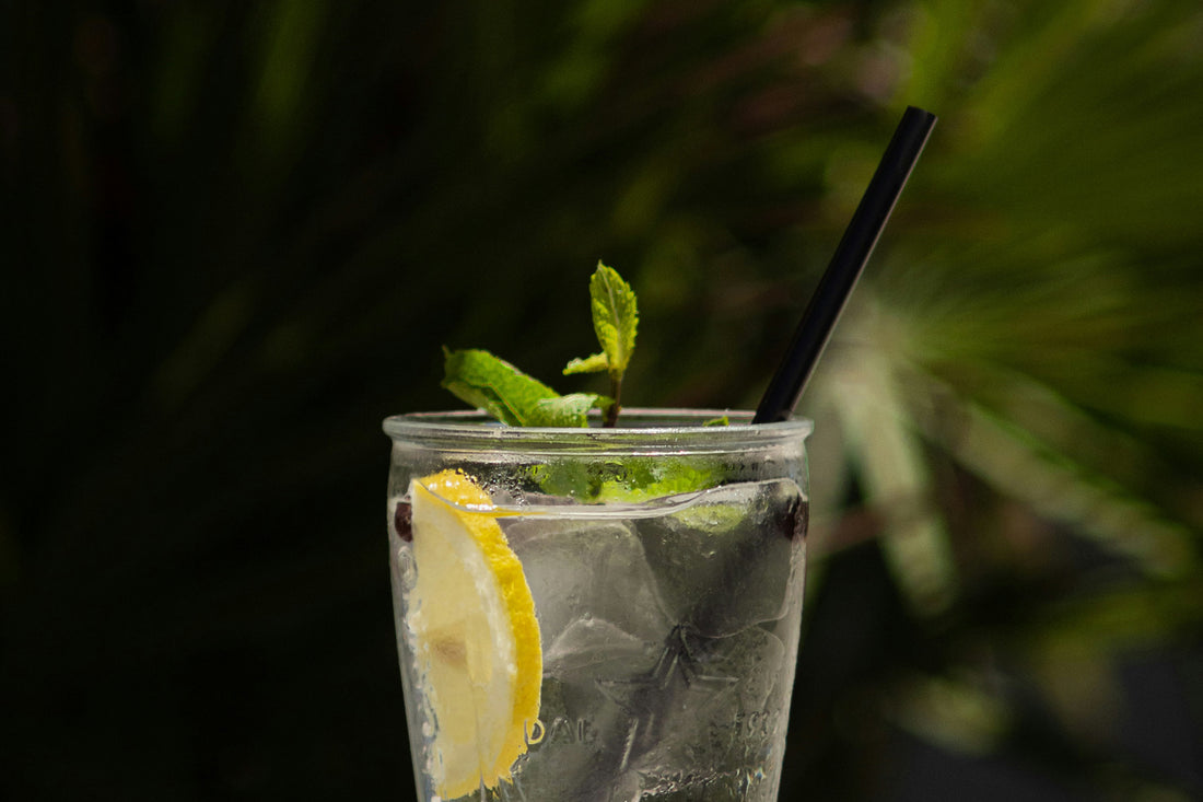 Gin Tonic